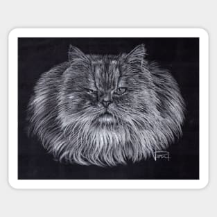 Persian Cat Sticker